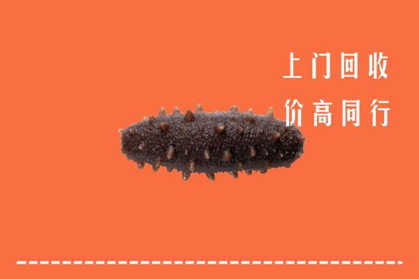 甘孜九龙县回收海参